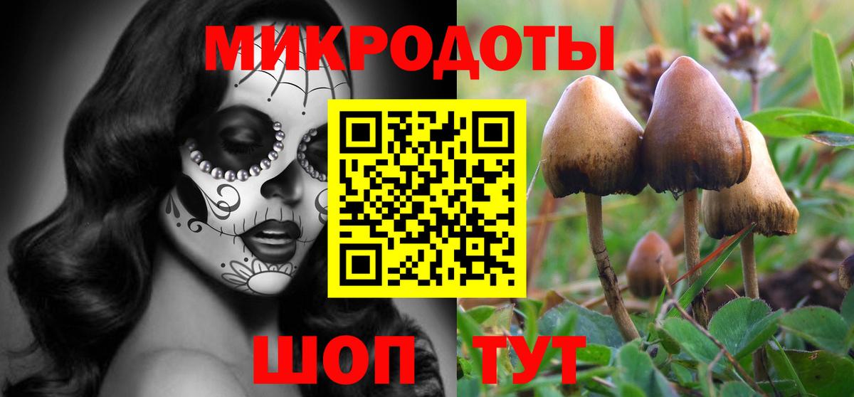 Россошь  Галлюциногенные грибы GOLDEN TEACHER  Вход с VPN  Галлюциногенные грибы Psilocybine cubensis 