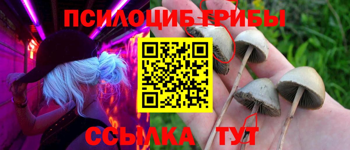 Псилоцибиновые грибы мицелий Россошь